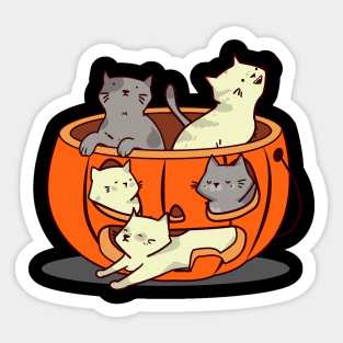 Cats in pumpkin Sticker